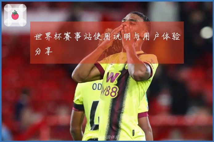 世界杯赛事站使用说明与用户体验分享