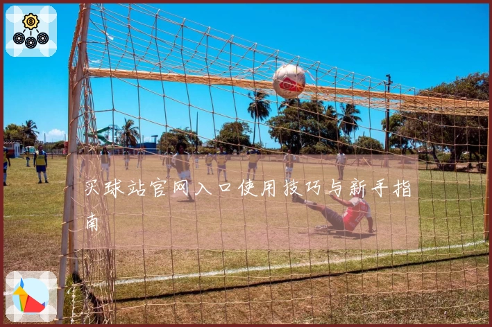 买球站官网入口使用技巧与新手指南