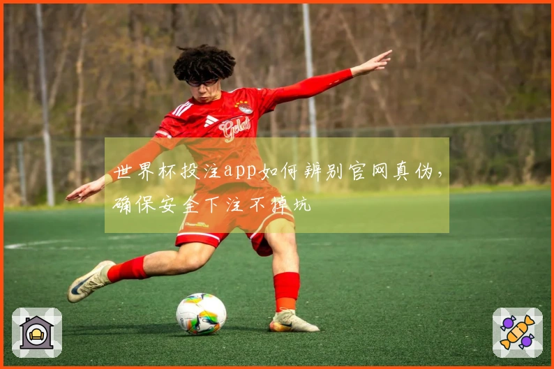 世界杯投注app如何辨别官网真伪，确保安全下注不掉坑