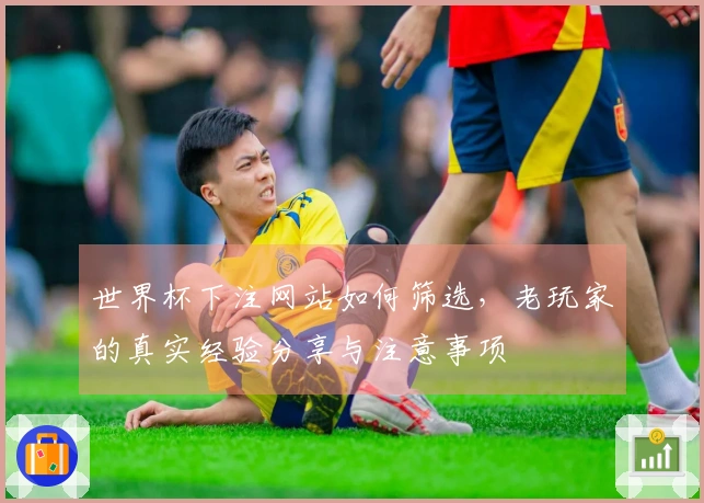 世界杯下注网站如何筛选，老玩家的真实经验分享与注意事项