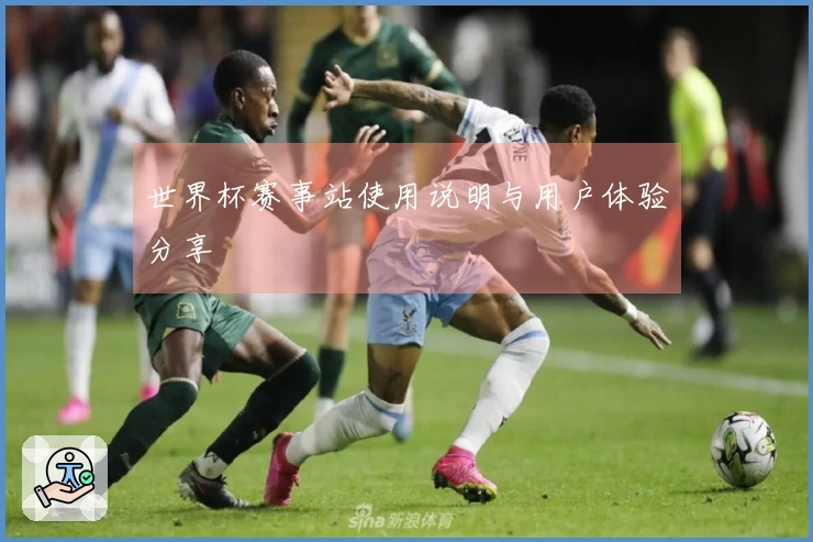 世界杯赛事站使用说明与用户体验分享