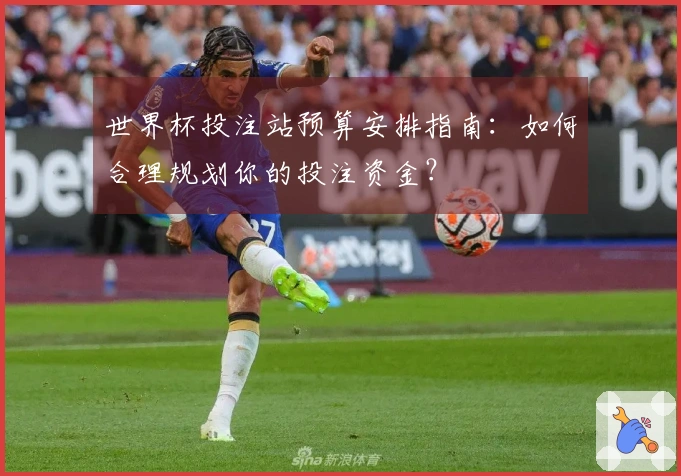 世界杯投注站预算安排指南：如何合理规划你的投注资金？