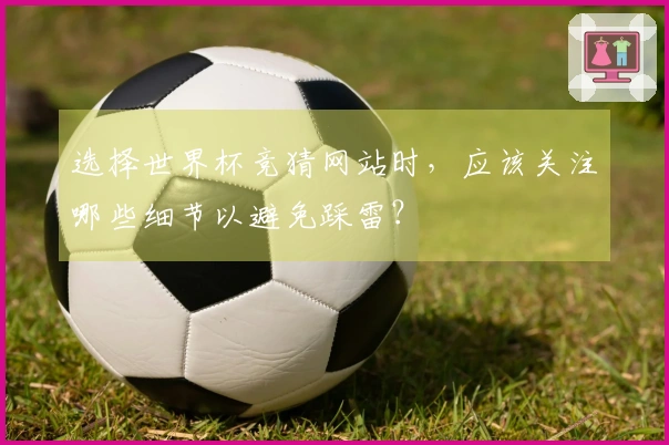 选择世界杯竞猜网站时，应该关注哪些细节以避免踩雷？