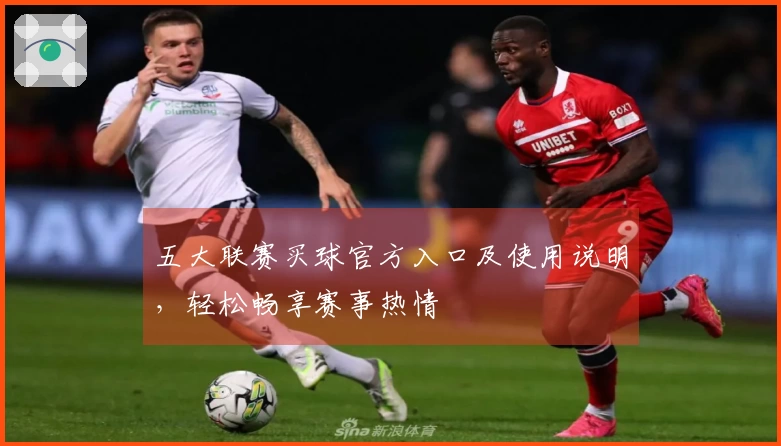 五大联赛买球官方入口及使用说明，轻松畅享赛事热情