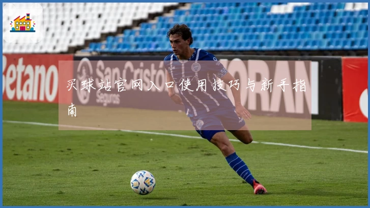 买球站官网入口使用技巧与新手指南