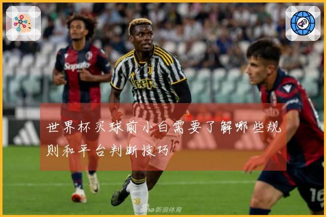 世界杯买球前小白需要了解哪些规则和平台判断技巧