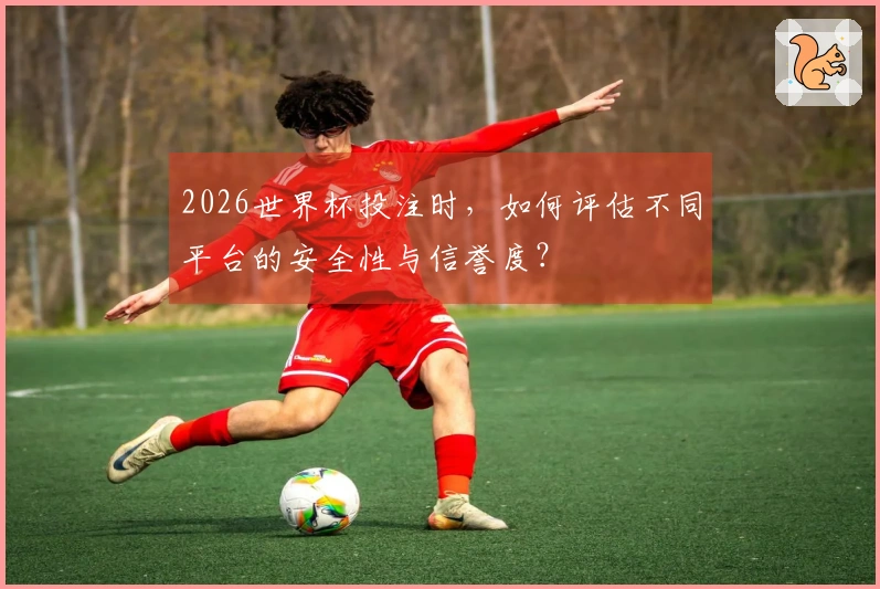 2026世界杯投注时，如何评估不同平台的安全性与信誉度？