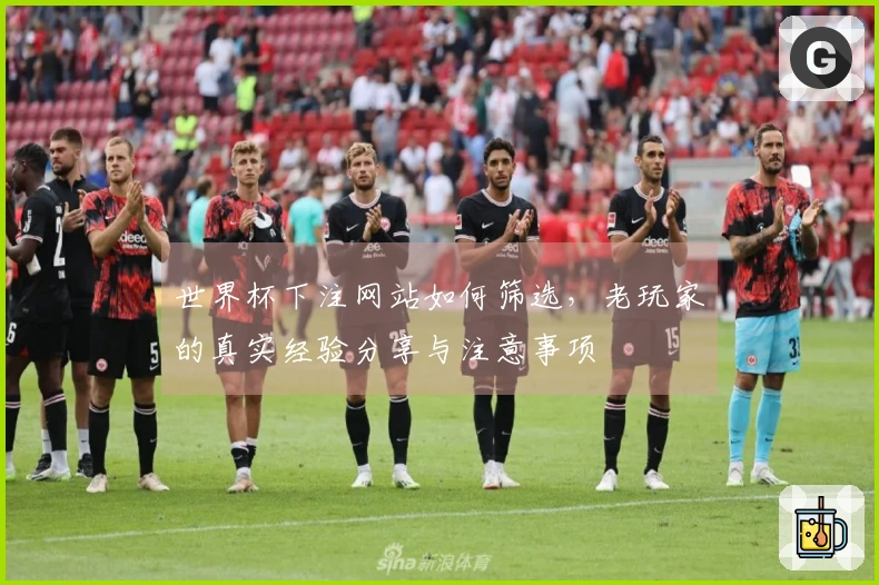 世界杯下注网站如何筛选，老玩家的真实经验分享与注意事项
