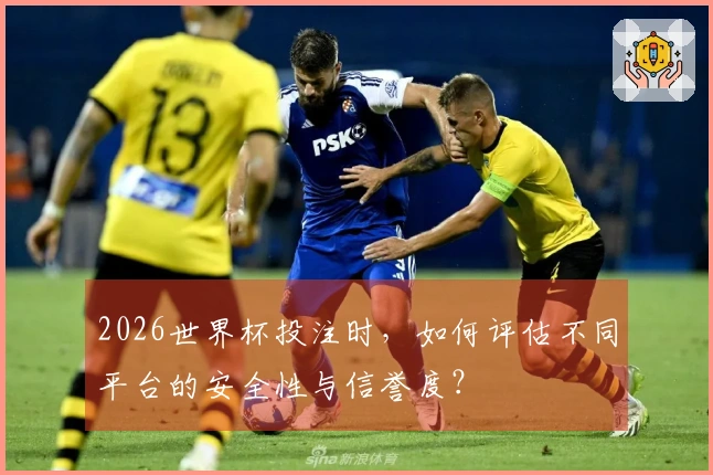 2026世界杯投注时，如何评估不同平台的安全性与信誉度？