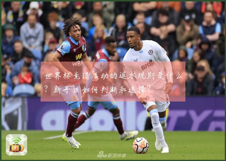 世界杯竞猜活动的返水规则是什么？新手该如何判断和选择？