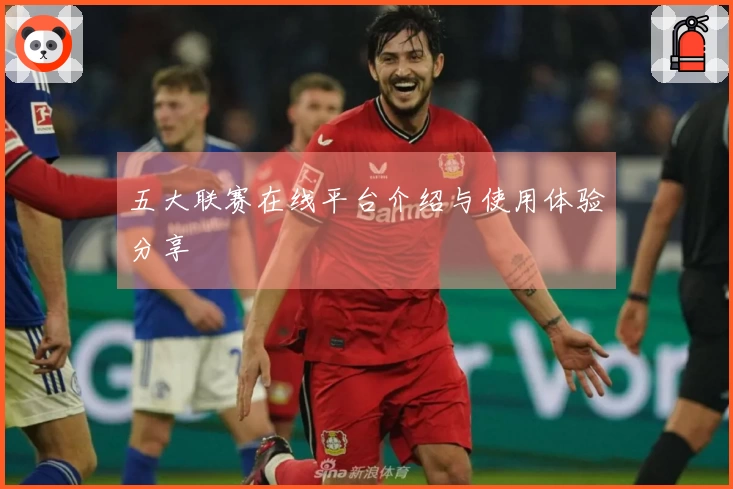 五大联赛在线平台介绍与使用体验分享