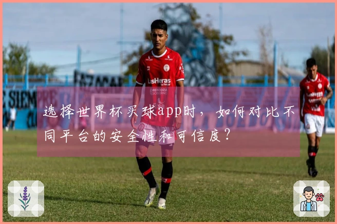 选择世界杯买球app时，如何对比不同平台的安全性和可信度？