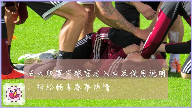 五大联赛买球官方入口及使用说明，轻松畅享赛事热情